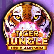 Hình ảnh minh họa chính sách bảo vệ dữ liệu GDPR của 888to game