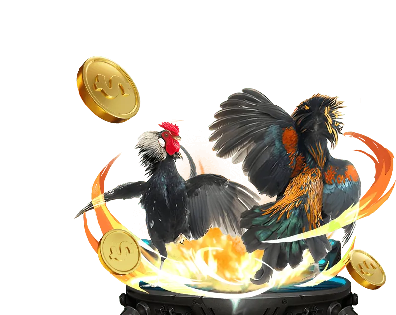 Cá cược Bóng đá tại 888to game